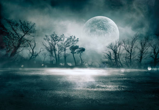 Fog In Spooky Forest At Moon Light On Asphalt - Abstract Bokeh And Filter Toned Smoke And Fog On Asphalt In Black Defocused Background - Halloween Backdrop contrail moon on a night sky stock pictures, royalty-free photos & images