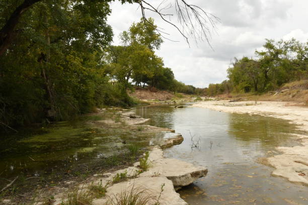 istock Dinosaurs Footprints in Glen Rose, Texas Part V 1419413570