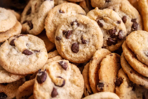 grupo de galletas con chispas de chocolate en el fondo - chocolate chip cookie bakery chocolate homemade fotografías e imágenes de stock