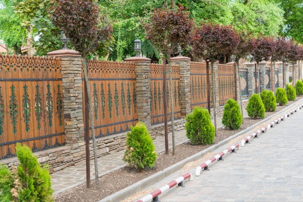 istock decorated sidewalk road by a beautiful fence 1419420058