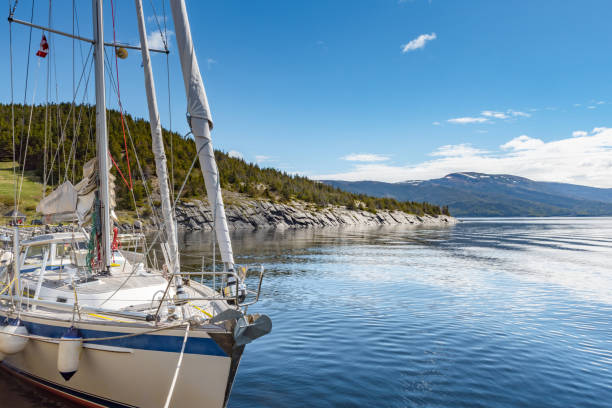 istock Neddy Harbour and Norris Point, Newfoundland and Labrador, Canada 1419422551