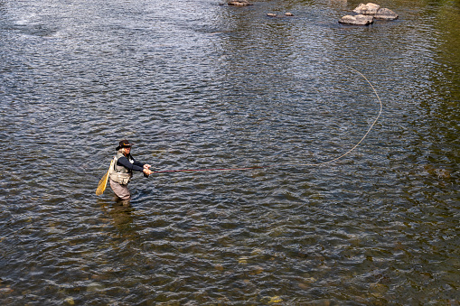 A senior adult woman, dressed in fishing gear, fly-fishes for trout in the Blue River of Summit County, Colorado near the town of Silverthorne nestled at nine thousand feet in elevation in the Rocky Mountains.