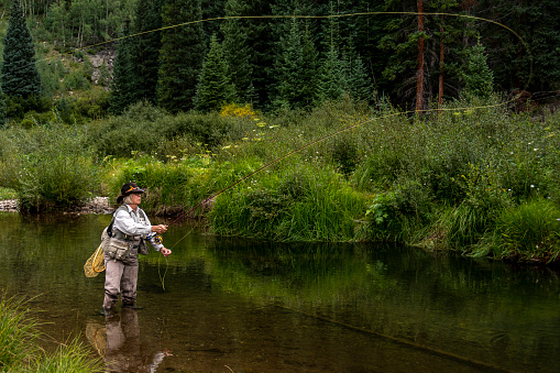 A senior adult woman, dressed in fishing gear, fly-fishes for trout in the Ten Mile Creek of Summit County, Colorado near the town of Frisco nestled at almost nine thousand feet in elevation in the Rocky Mountains.