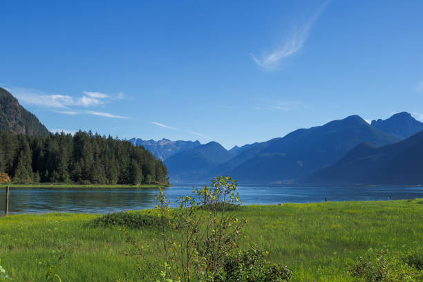 istock Wildlife in Pitt Meadows BC 1419427007