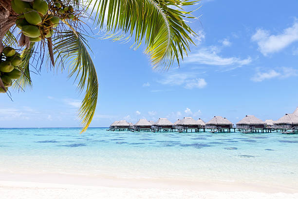 istock overwater bungalows in the lagoon 141943288