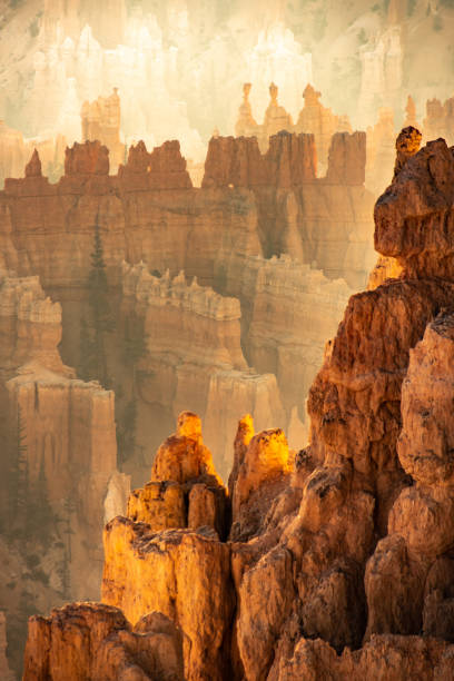 Bryce Canyon The hoodoos of Bryce Canyon at Golden Hour bryce canyon national park stock pictures, royalty-free photos & images