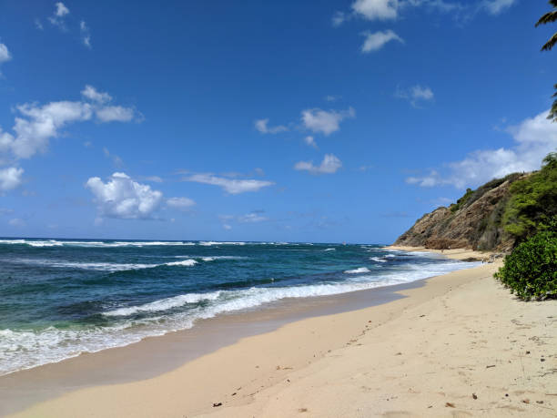 istock Waves lap on the sand on empty Diamond Head Beach on a Beautiful day 1419438363