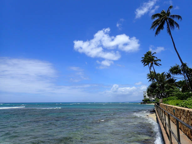 istock Elevated Shoreline Path to Makalei Beach 1419438380