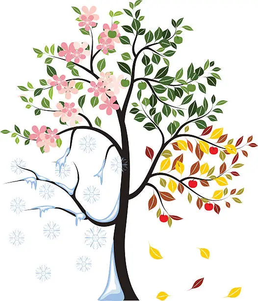 Vector illustration of Four seasons