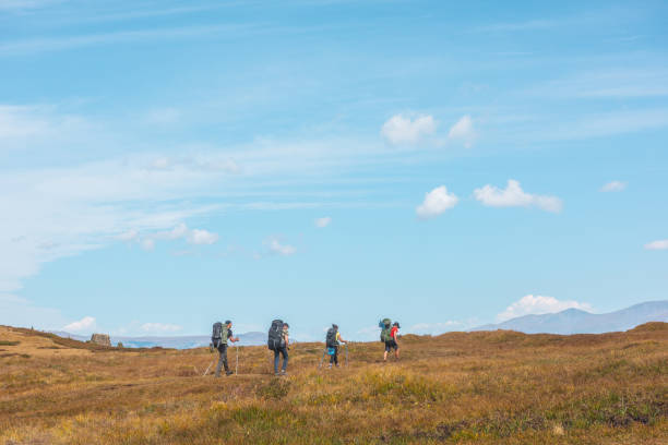 mehrere touristen mit großen rucksäcken und trekkingstöcken folgen der route irgendwo im altai-gebirge. gruppe von menschen mit großen rucksäcken im herbst bergwanderung. russland, republik altai, 26. august 2021 - treking poles stock-fotos und bilder