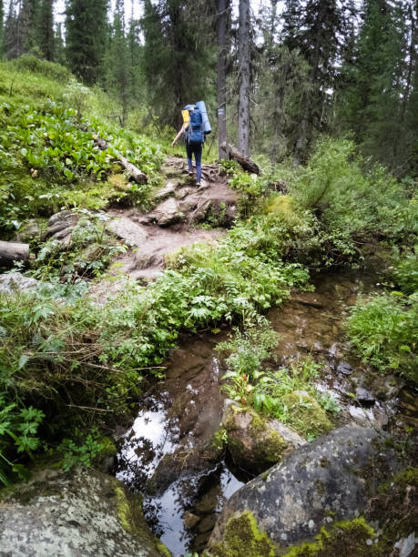 istock woman walking on a summer hiking trail 1419444860