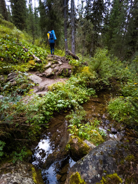 istock woman walking on a summer hiking trail 1419444864