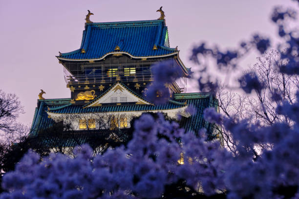 Osaka Castle keep at dusk behind cherry blossoms stock photo