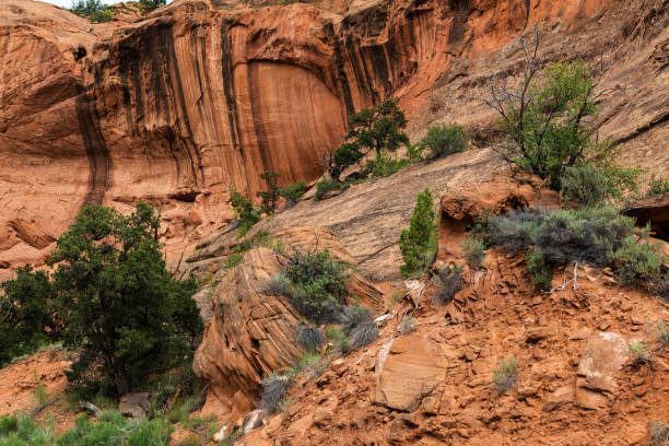 istock Cliff Wall in Long Canyon on the Burr Trail 1419454898