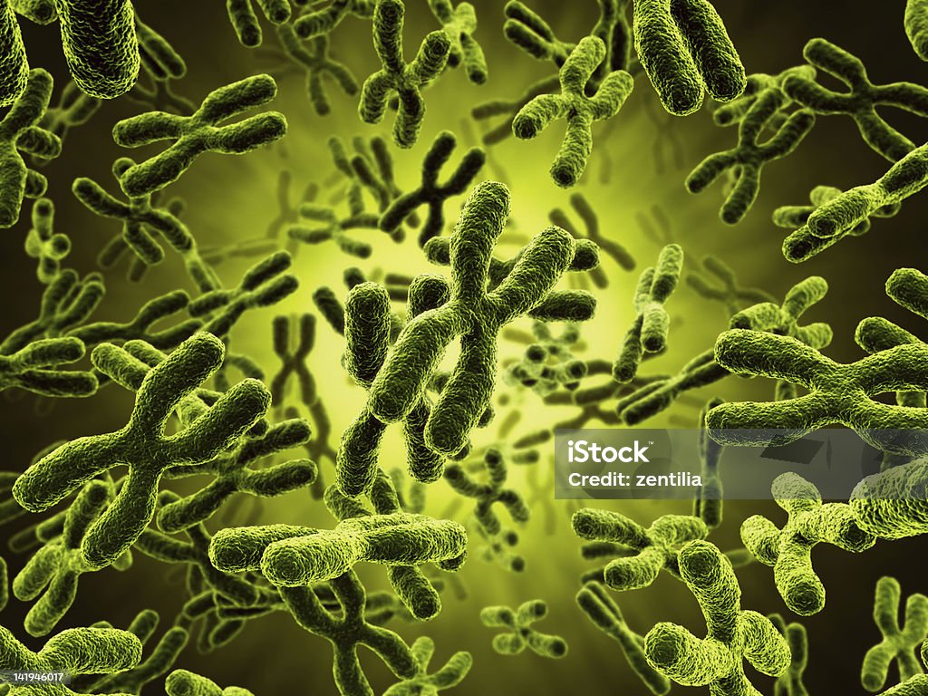 Chromosomes 3d rendering of chromosomes Biological Cell Stock Photo