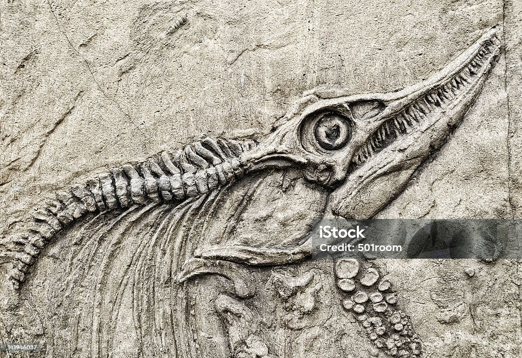 Dinosaur skeleton. The discovery of a dinosaur skeleton. Education is out of copyright. Dinosaur Stock Photo