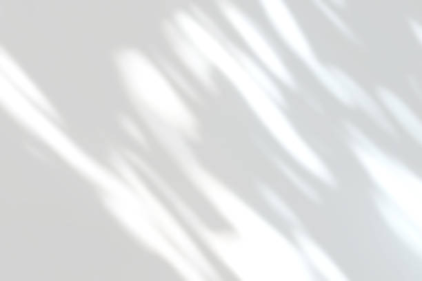 istock Abstract shadow of leaves on a white wall background 1419464568