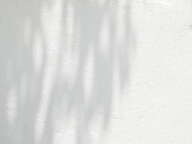 istock Abstract shadow of leaves on white cement wall 1419464598