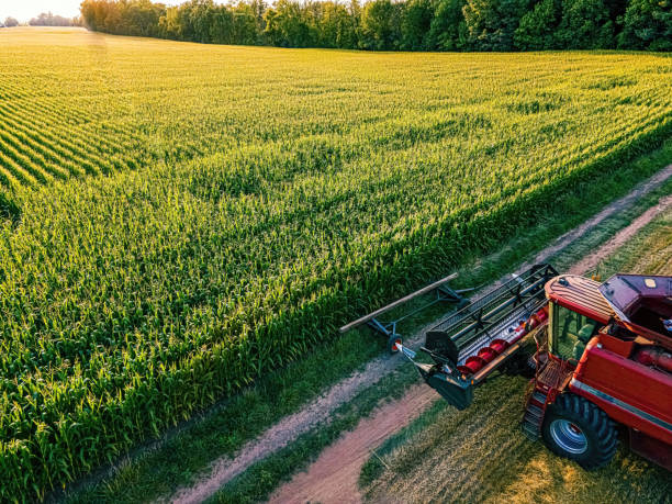 istock Harvester parked at the edge of corn field 1419469219