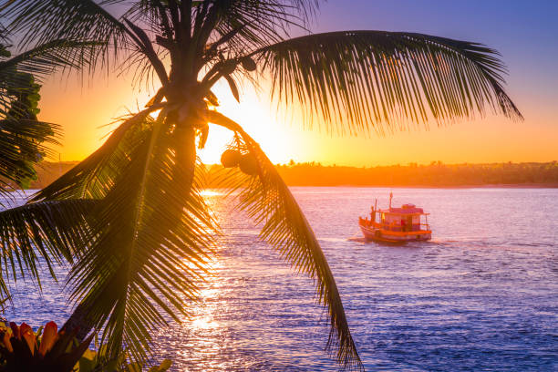 Idyllic Porto Seguro Beach at sunset with palm trees in Trancoso, BAHIA stock photo