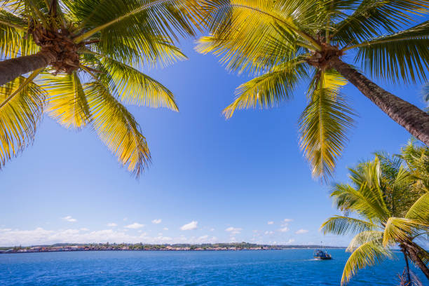 Idyllic Porto Seguro Beach at sunny day with palm trees in BAHIA, Brazil stock photo