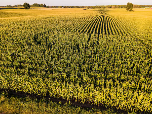 istock Elevated View of Farm Landscape 1419470218
