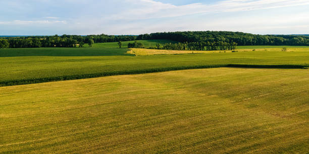 istock Vibrant summertime landscapes in wisconsin 1419470219