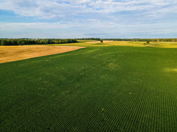 istock Vibrant summertime landscapes in wisconsin 1419471005
