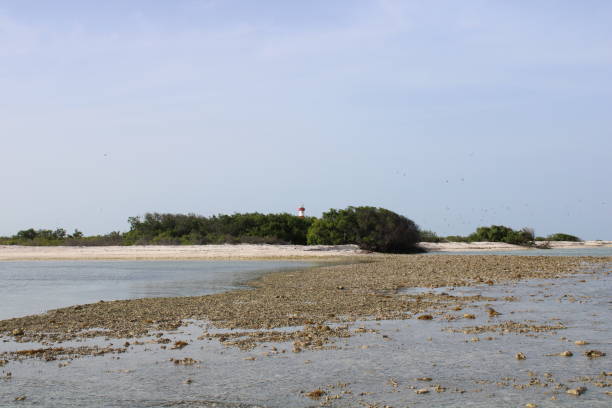 istock View of the island lighthouse 1419478180