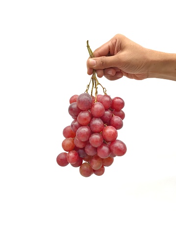 hand holding a bunch of fresh grapes on white isolated background