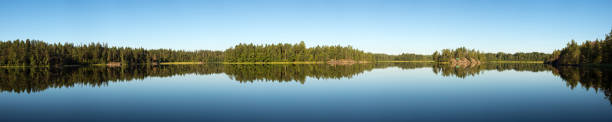 istock forest lake on a summer sunny day 1419479016