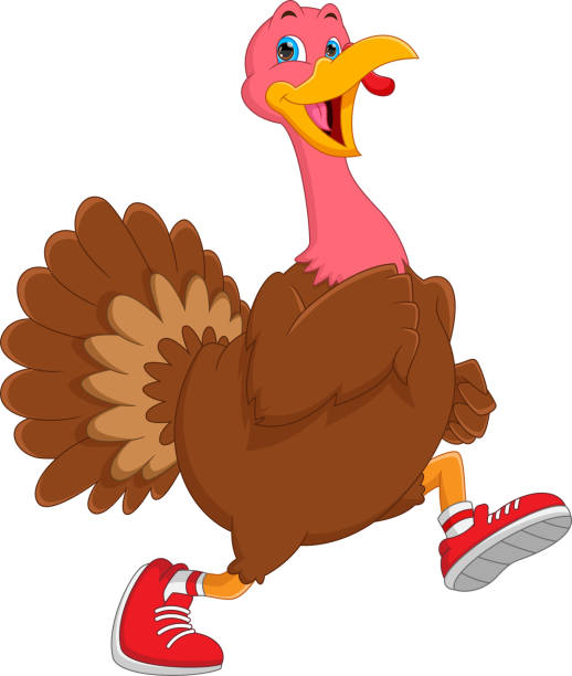 cartoon cute turkey bird running vector illustration of cartoon cute turkey bird running free thanksgiving pic stock illustrations