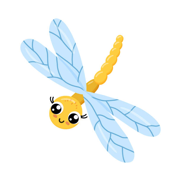 Dragonfly Cartoon Stock Photos, Pictures & Royalty-Free Images - iStock