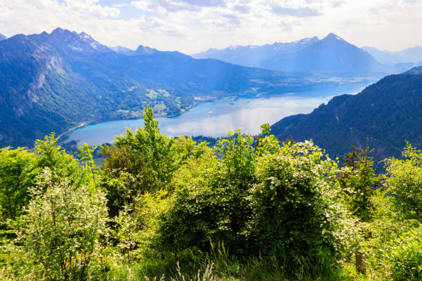 vista aérea de tirar o fôlego do lago thun e alpes suíços do ponto de vista de harder kulm, suíça - thun aerial view switzerland tree - fotografias e filmes do acervo