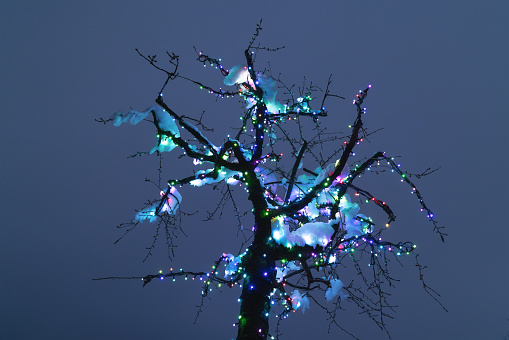 Christmas lights on a tree covered with snow.
