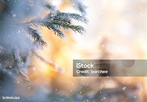 istock Christmas Tree 1419494265