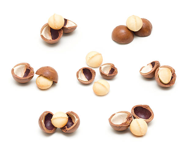 macadamia nuts - unshelled fotografías e imágenes de stock
