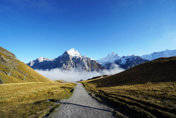 istock Hiking trail in Grindelwald,Switzerland. 1419497101