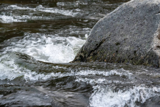 A serene creek flowing through lush greenery with moss-covered rocks, creating a picturesque scene. The gentle stream cascades, emphasizing the harmony of nature. Branches frame the composition, adding depth to the idyllic setting. This photograph captures the tranquil beauty of a wilderness environment.