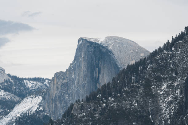 Majestic Half Dome rises dramatically above the lush trees in Yosemite Valley, showcasing the breathtaking beauty of California's wilderness.