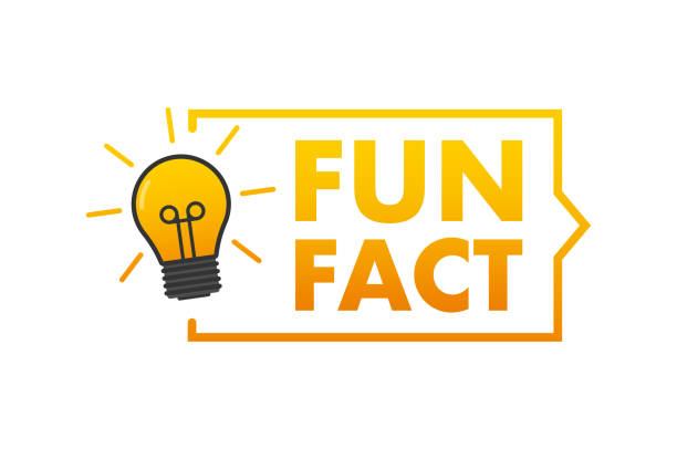 Fun fact label. light bulb. Vector stock illustration. vector art illustration