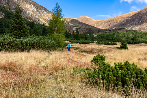 Woman with backpack on hiking trail leading to Seckauer Zinken in the Lower Tauern mountain range, Styria, Austria, Europe. Sunny golden autumn day in Seckau Alps. Panorama on dry, bare grass terrain
