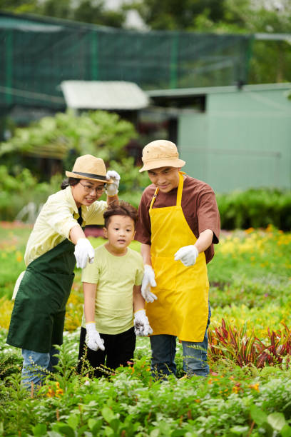 istock Family Working at Flower Nursery 1419507111