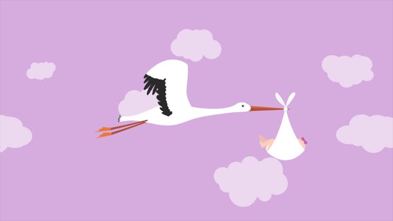 195 Baby Birth Cartoon Stock Videos and Royalty-Free Footage - iStock 195 Baby Birth Cartoon Stock Videos and Royalty-Free Footage - iStock