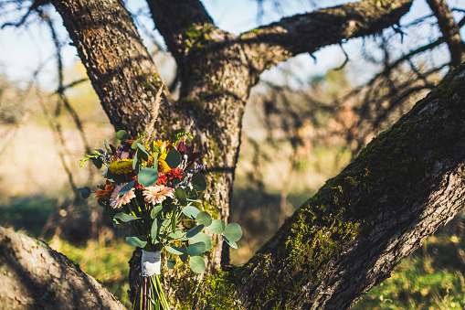 Colorful wedding bouquet on a tree in the garden.