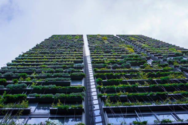 Looking up at Tall Building with green plants growing on side