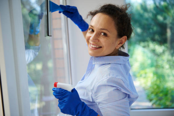 Multi-ethnic housewife washes and wipes window with detergent spray and glass cleaning scraper, happily doing housework stock photo