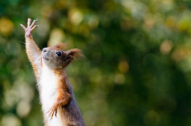 High Five stock photo