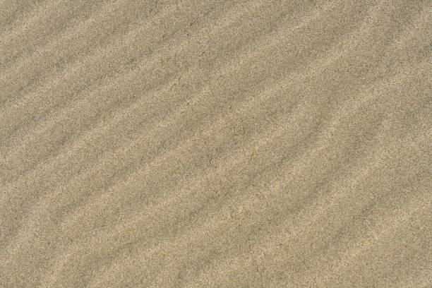 istock Textured lines in the sand. Abstract background. 1419515623