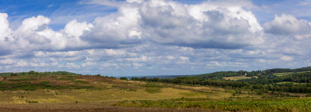 bosque de ashdown east sussex - winnie the pooh fotografías e imágenes de stock